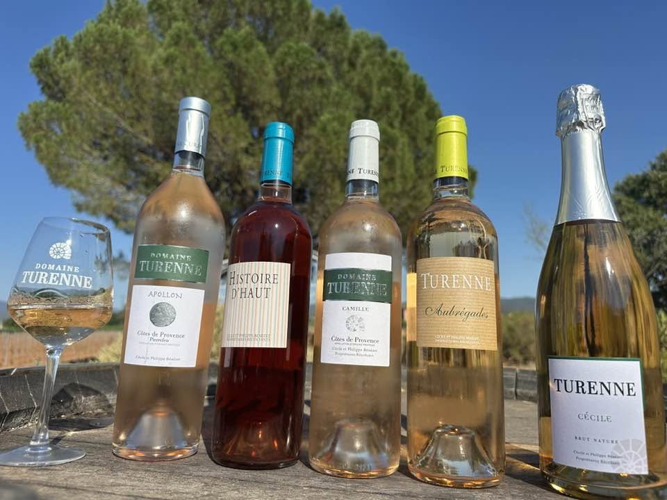 les vins rosés du domaine turenne